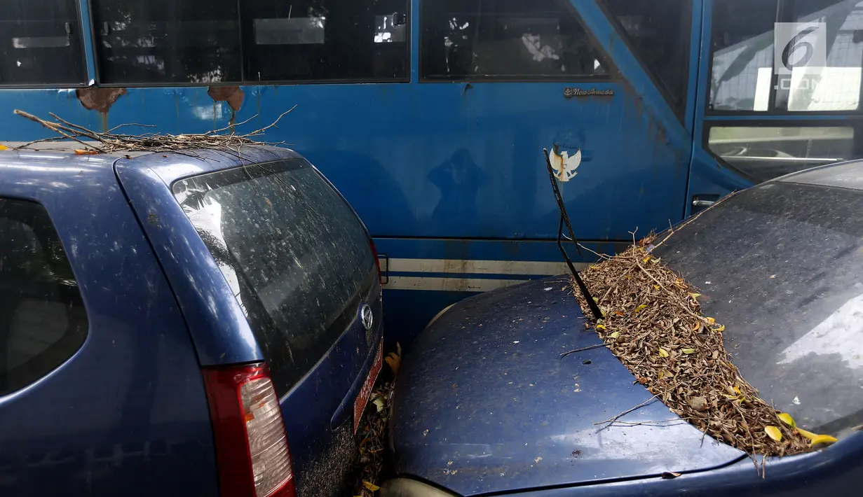 Tumpukan daun kering menempel di wiper kaca depan dan atap mobil dinas yang terparkir di area belakang Gedung DPR/MPR, Jakarta, Selasa (5/12). Belum ada kejelasan terkait nasib mobil-mobil serta bus dinas tersebut. (Liputan6.com/Johan Tallo)