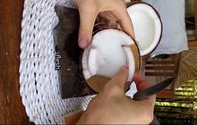 Cuma Perlu 1 Bahan Dapur, Ini Trik Melepaskan Daging Kelapa dengan Praktis