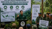 Perdagangan Karbon Jadi Sumber Pembiayaan Baru Pengelolaan Hutan