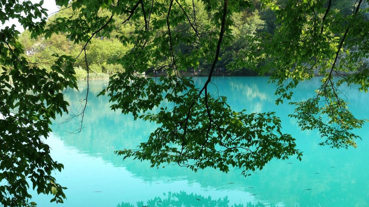 2. Telaga Warna Puncak Cisarua