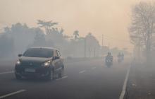 Kebakaran Hutan, Kabut Asap Pekat Lumpuhkan Bandara Singkawang