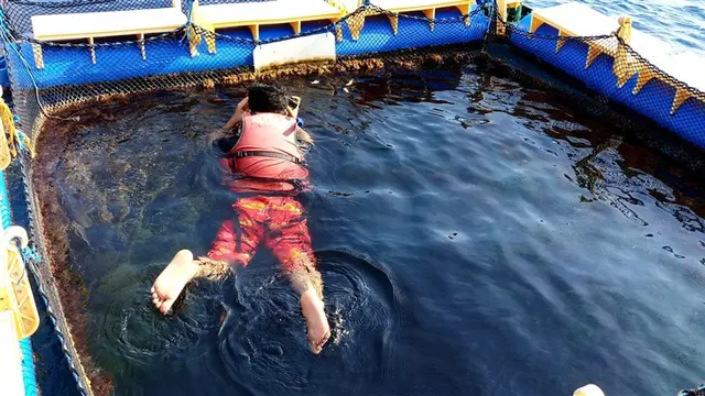 Snorkeling