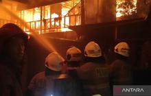 Dampak Kebakaran Grogol Petamburan: 53 Jiwa Kehilangan Tempat Tinggal, Api Berasal dari Warung Kelontong