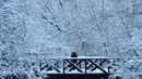 Seorang perempuan berjalan di sepanjang jembatan di atas sungai Yauza di depan pohon yang tertutup salju setelah hujan salju lebat di pinggiran Moskow, Rusia pada Selasa (14/12/2021). (Kirill KUDRYAVTSEV / AFP)