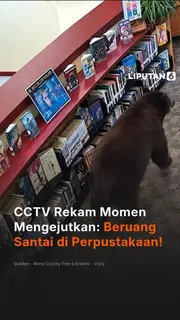 CCTV Rekam Momen Mengejutkan Beruang Santai di Perpustakaan!