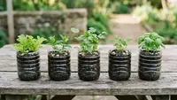 8 Cara Memilih Botol Bekas yang Aman untuk Media Tanam Kebun Sayur di Rumah