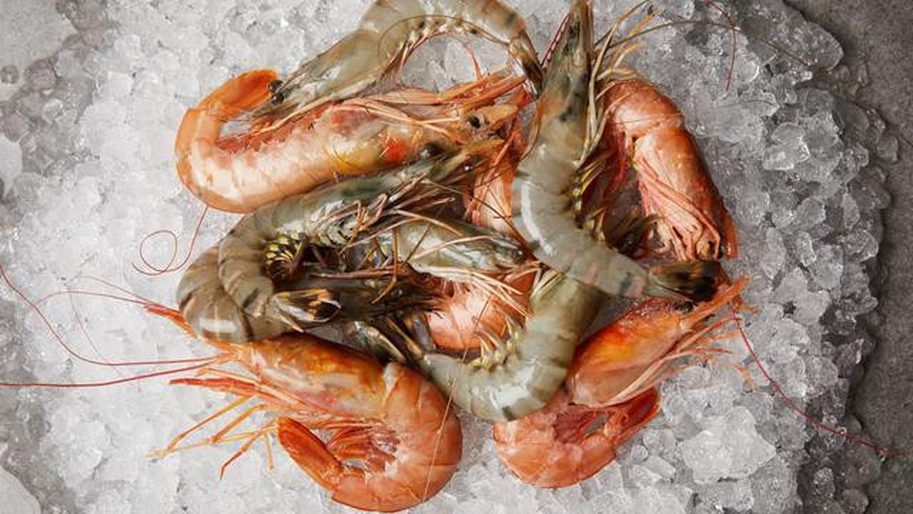 18 Makanan Sumber Kolagen yang Bikin Kulit Awet Sehat
