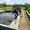 Cara Membuat Kolam Lele yang Tidak Mudah Bocor, Awet Dipakai dan Aman untuk Budidaya