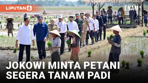 VIDEO: Presiden Jokowi Ajak Petani Mulai Tanam Padi Seiring Dimulainya Musim Hujan