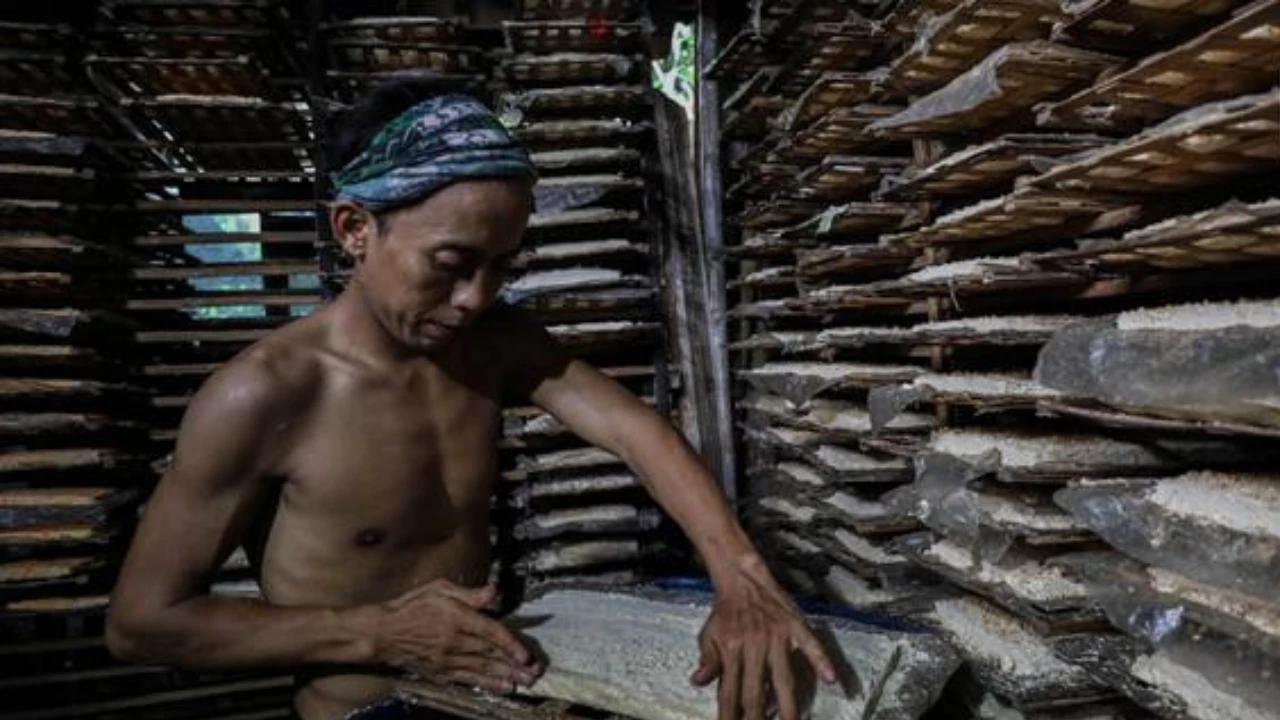 Realisasi KUR untuk UMKM Capai Rp 238 triliun.