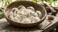 Cara Mengubah Gudang Jadi Sarang Walet yang Ideal dan Menguntungkan
