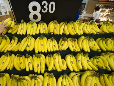 Pisang kaya akan magnesium maka itu pisang baik Anda makan sebelum tidur, bukan saat sarapan. Buah ini dapat membantu untuk mengendurkan otot-otot setelah lelah beraktivitas seharian. (AFP PHOTO/Ronaldo SCHEMIDT)