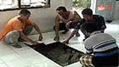 liputan6