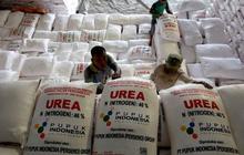 Indonesia-Brunei Sepakat Kembangkan Urea dan Amoniak untuk Jaga Ketahanan Pangan ASEAN