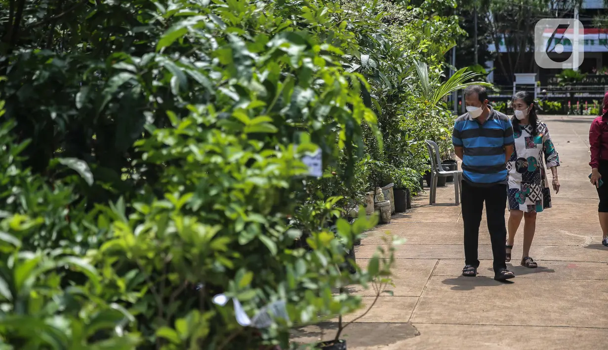 Pengunjung melihat tanamam yang dipamerkan di Lapangan Banteng, Jakarta, dalam acara Floraction, Sabtu (18/2/2023). Floraction menampilkan berbagai jenis tanaman, dari tanaman hias, bunga hingga tanaman buah. (Liputan6.com/Faizal Fanani)