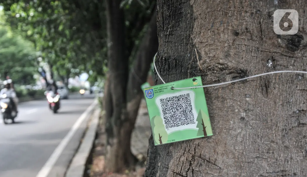 Warga memindai "QR code" yang terpasang pada salah satu pohon di Jalan Ir H Juanda, Depok, Jawa Barat, Minggu (27/11/2022). Pemerintah Kota Depok memasang "QR code" pada 1.500 pohon perindang di Jalan Margonda Raya dan Jalan Ir H Juanda dengan total anggaran Rp49 juta untuk mengedukasi warga dengan informasi berupa nama pohon, nama ilmiah, umur maksimal, tinggi, lokasi, daya serap CO2 dan kode pohon untuk pendataan. (merdeka.com/Iqbal S. Nugroho)