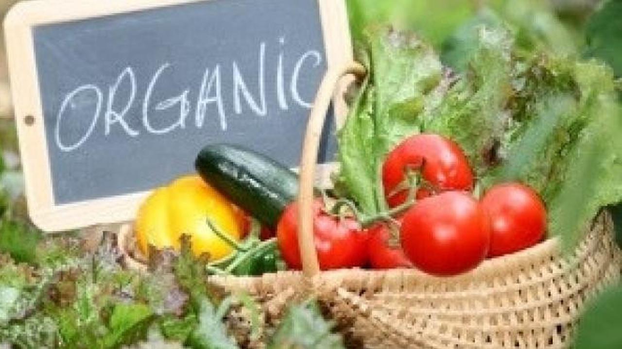 makanan organik