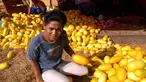 Sejumlah pedagang timun suri di Pasar Kramat Jati meraup rezeki di bulan Ramadan, Jakarta, Selasa (1/7/14). (Liputan6.com/Miftahul Hayat)