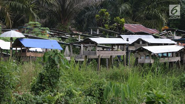 Kuburan Unik Khas Kalimantan