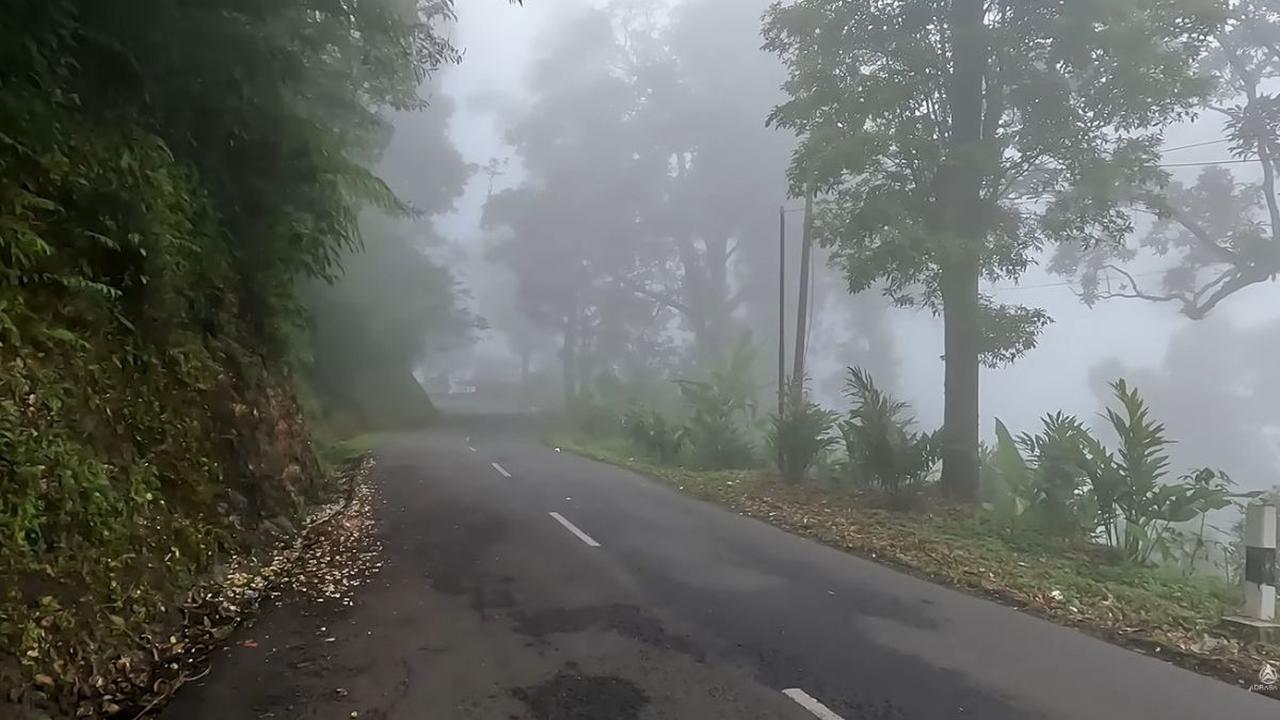Jarang Ditemukan Tempat Tinggal