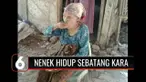 Seorang nenek berusia 75 tahun hidup sebatang kara dan dalam kondisi memprihatinkan di Subang, Jawa Barat. Selain tinggal di gubuk yang nyaris ambruk, nenek ini tidak pernah tersentuh bantuan sosial karena tidak adanya data kependudukan.