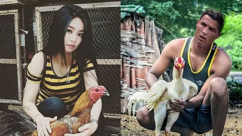 5 Editan Foto Seleb Dunia Jika Pelihara Ayam Ini Kelewat Unik, Kocak