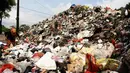 Seorang ibu di tengah-tengah tumpukan sampah. (Liputan6.com/Faizal Fanani)