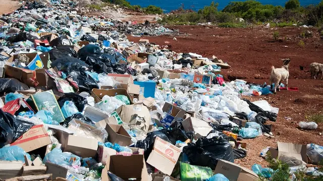 Sampah dan Limbah Pabrik