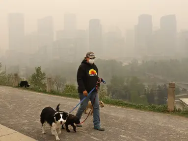 Mengenakan masker pelindung, seorang pejalan kaki, Leslie Kramer, bersama anjingnya berjalan-jalan di luar rumah saat asap tebal dari kebakaran hutan di Alberta utara mengarah ke selatan dan menyelimuti pusat kota di Calgary, Kanada, Selasa (16/5/2023). (Larry MacDougal / The Canadian Press via AP)