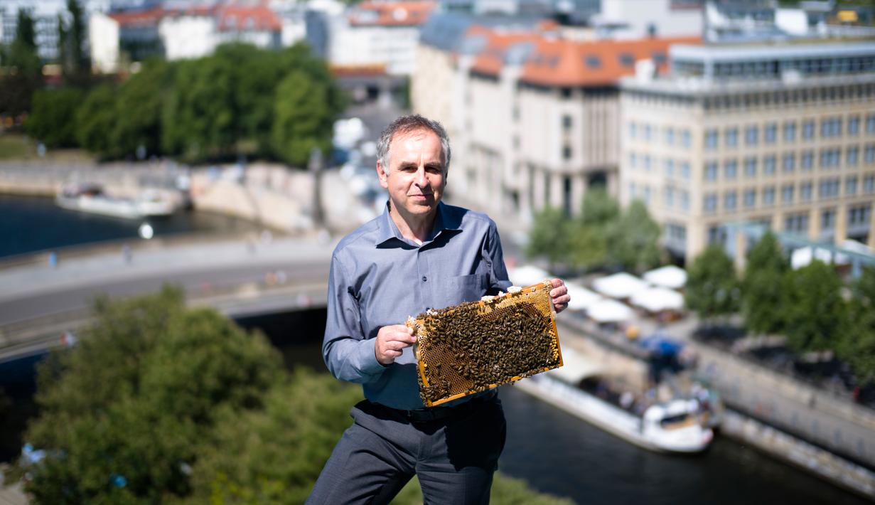 Direktur pengelola Katedral Berlin menunjukkan sarang lebah yang diproduksi di atap Katedral Berlin di Berlin, 14 Mei 2018. Seseorang tidak akan mengira kalau ibu kota Jerman itu adalah lokasi ideal beternak lebah dan produksi madu. (AP/Markus Schreiber)