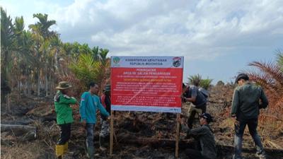 Kemenhut Selidiki Kebakaran Hutan di Sumsel, Pemegang Izin Diingatkan Jaga Areal Konsesi