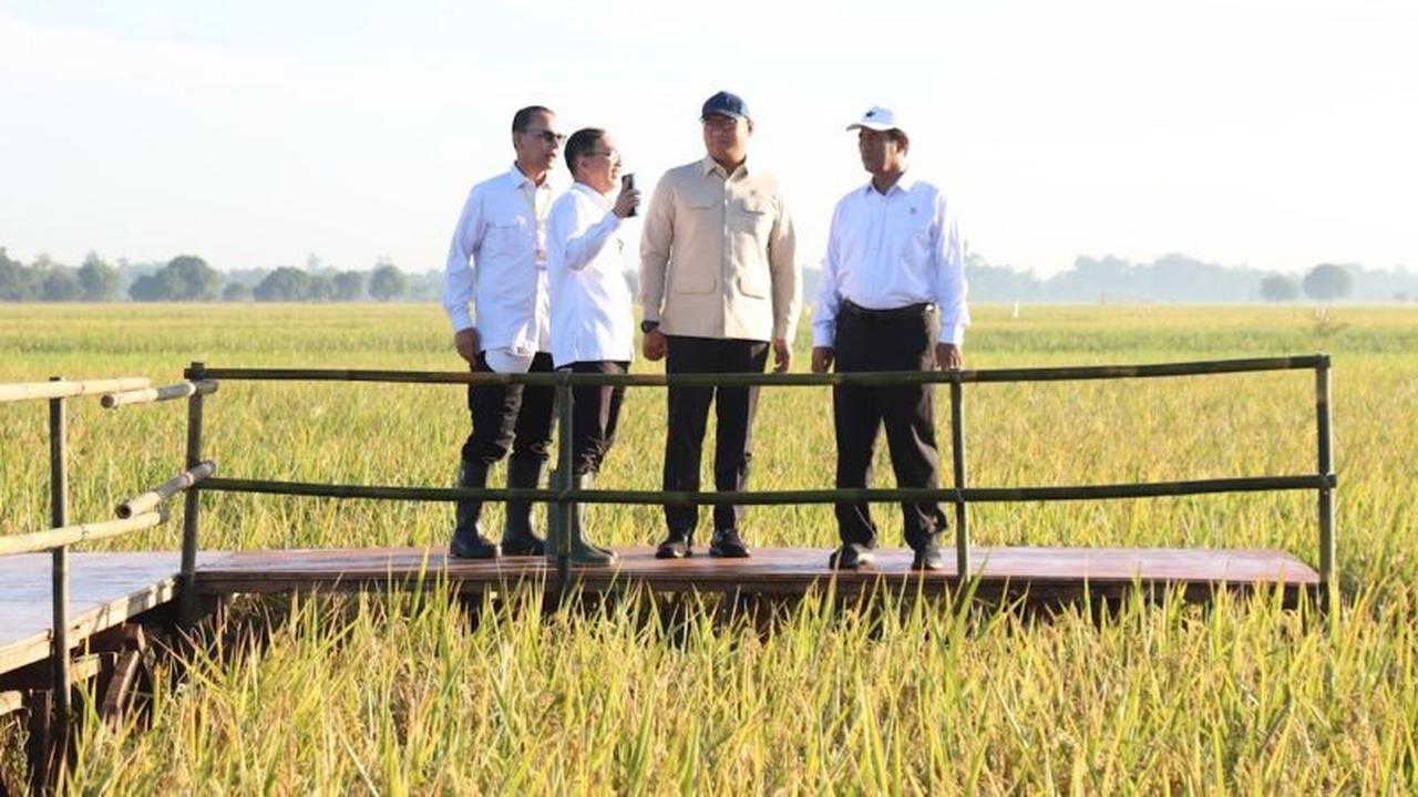 Fakta Unik: Produksi Melonjak, Mentan Optimistis Indonesia Segera Capai Swasembada Beras dalam 3 Bulan!