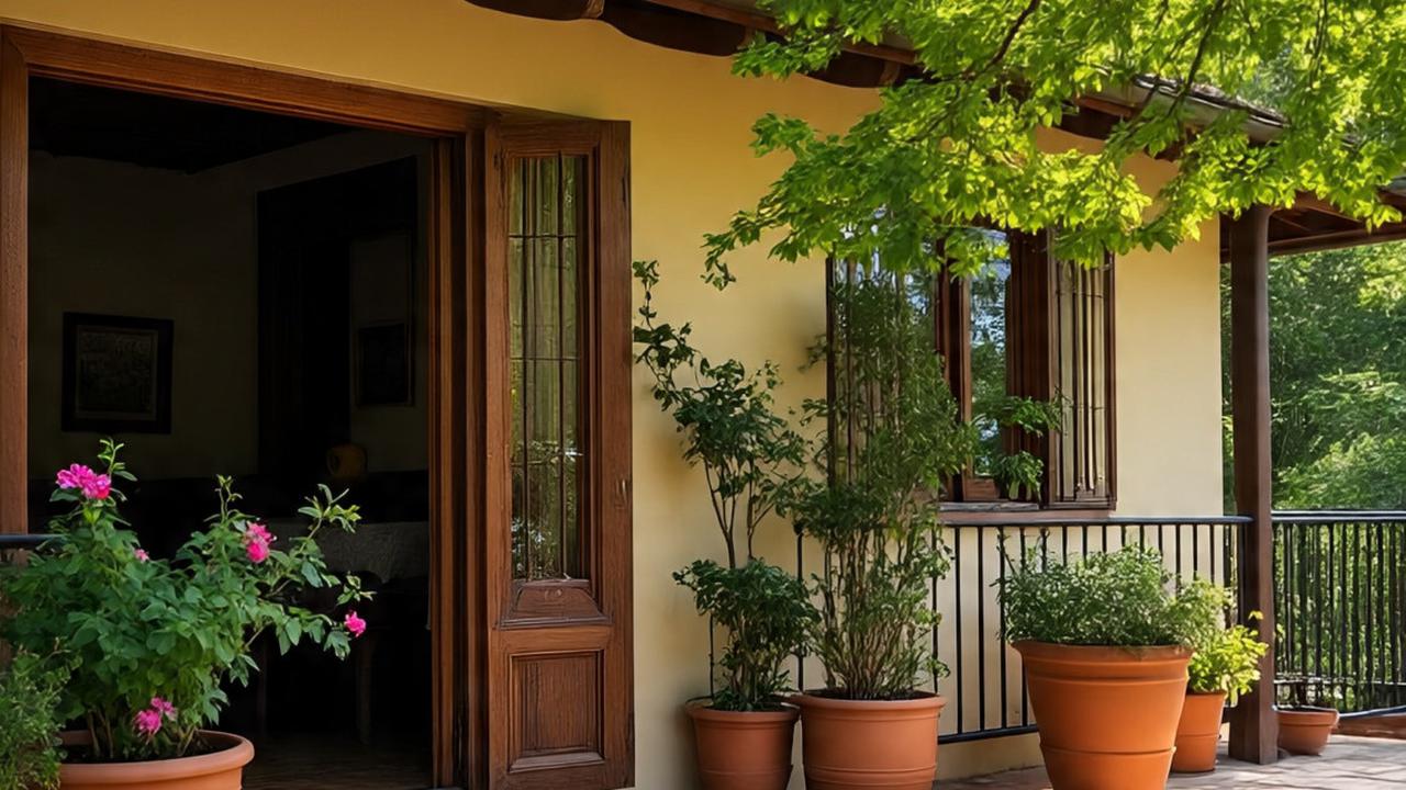 10 Tips Dekorasi Tanaman Teras yang Membuat Rumah Lebih Adem, Ciptakan Hidup Nyaman