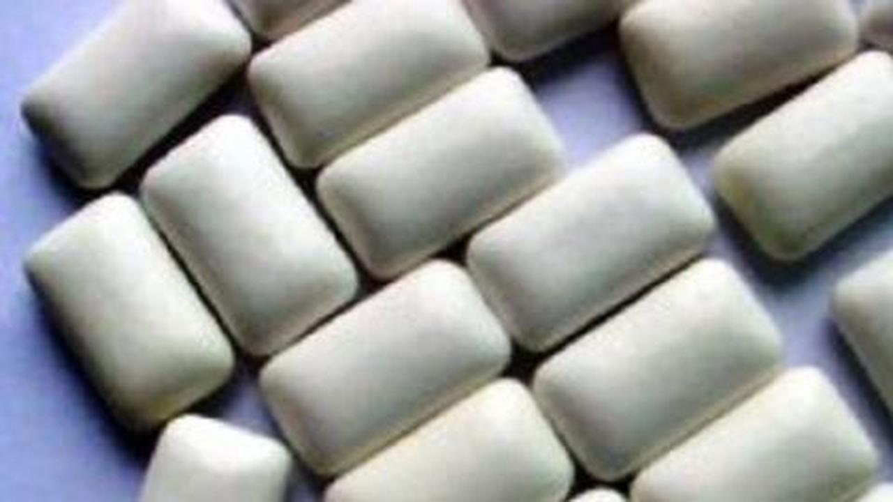 10 Makanan manusia yang berbahaya bagi hewan peliharaan