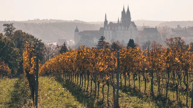 Meissen