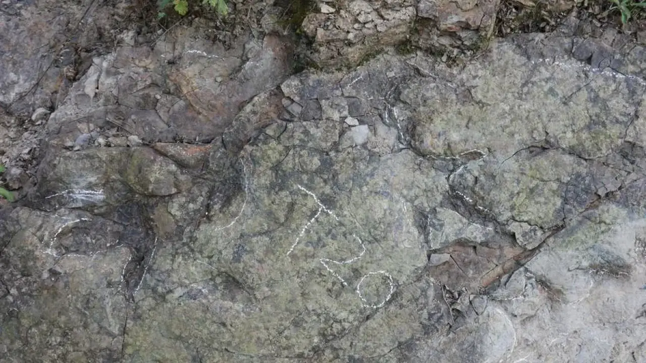 Foto yang diambil pada 5 Desember 2025 menunjukkan jejak kaki dinosaurus di dinding batu di Kota Dujiangyan, Provinsi Sichuan, China barat daya. (Dok. ANTARA/Xinhua)