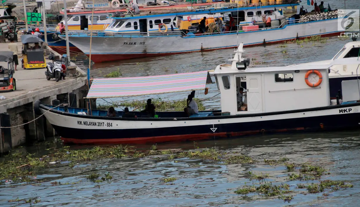 Kapal-kapal berlabuh dekat pinggir pantai Kelurahan Pohe yang dipenuhi eceng gondok, Gorontalo, Jumat (22/2). Tanaman ini berasal dari Danau Limboto yang terbawa arus hingga ke Teluk Gorontalo dan memenuhi pinggiran pantai. (Liputan6.com/Arfandi Ibrahim)