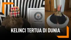 Mick, Si Kelinci Usia 16 Tahun Tertua di Dunia