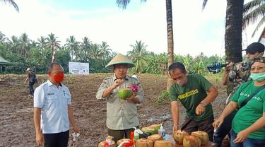 Kementan mengunjungi petani kelapa di Sulut.