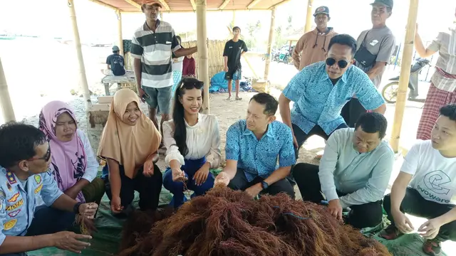 Direktur Utama PT Blue Bird Tbk Adrianto Djokosoetono bersama Kepala Dinas Perhubungan NTB Lalu Moh. Faozal dan Kepala Dinas Kelautan dan perikanan Lotim saat meninjau kelompok budidaya rumput laut di Desa Ekas Buana, Kecamatan Jerowaru, Lombok Timur.