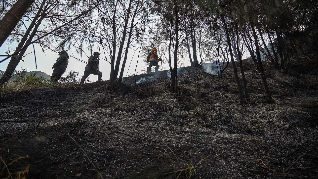 Karhutla Gunung Bromo Meluas Hingga 550 Hektare