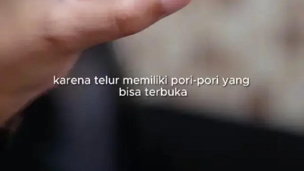 Agar Telur Tetap Higienis saat Disimpan, Coba Trik Ini Tanpa Perlu Dicuci