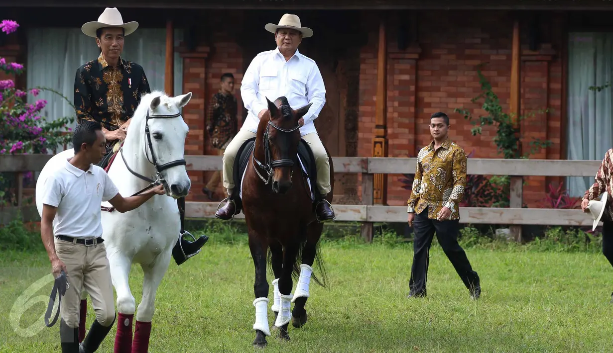Ketua Umum Partai Gerindra Prabowo Subianto mengajak Presiden Joko Widodo (Jokowi) untuk naik kuda di kediamannya di Hambalang, Bogor, Senin (31/10). Jokowi dan Prabowo usai melakukan pertemuan tertutup selama hampir 2 jam. (Liputan6.com/Faizal Fanani)