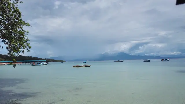 Kelapa Hingga Wisata, Sumbangsih RI untuk Warga Asia Pasifik