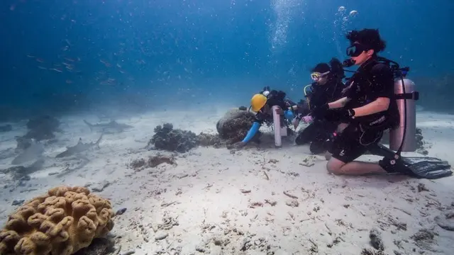 El Rumi menyelamat di laut