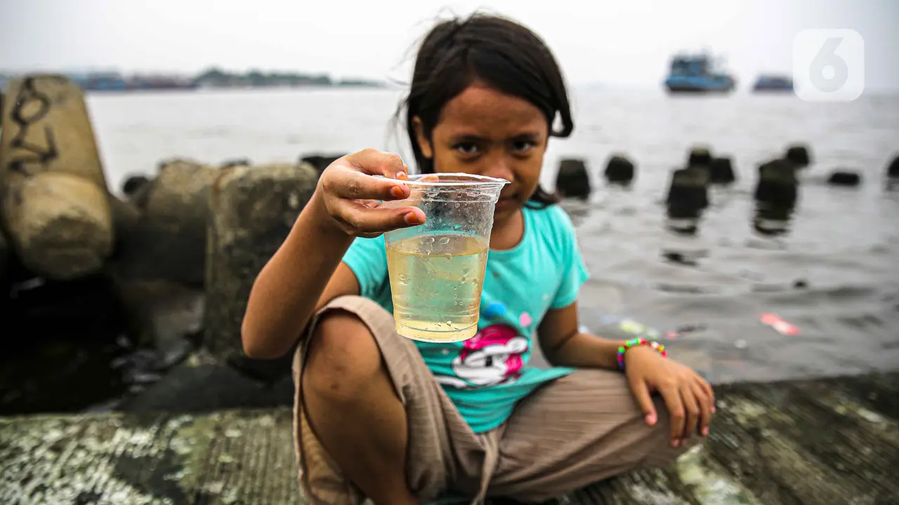 Teluk Angke dan Ancol Tercemar Paracetamol