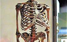 Studi Terbaru Buktikan Manusia Purba Neanderthal Berburu Singa 48.000 Tahun Lalu