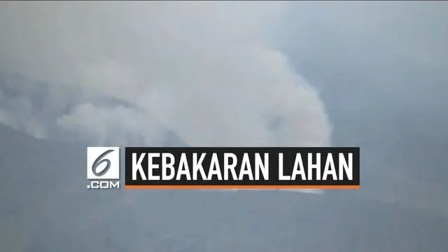 Kebakaran di lereng Gunung Merbabu semakin meluas. Saat ini sekitar 115 hektar lahan hangus terbakar. Kebakaran sudah meluas hingga ke Wilayah Boyolali.