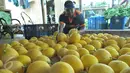 Petani binaan Ewindo menata melon premium Stella F1 di Teluk Naga, Tangerang, Kamis (20/4). Dengan teknik budidaya tanaman hortikultura berkualitas tinggi, melon tersebut dapat mengakses pasar-pasar modern di Ibu Kota. (Liputan6.com/Helmi Afandi)