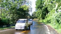 Bahaya Mengintai, Jalan Vital di Aceh Jaya Jadi Langganan Tumpahan Minyak Sawit